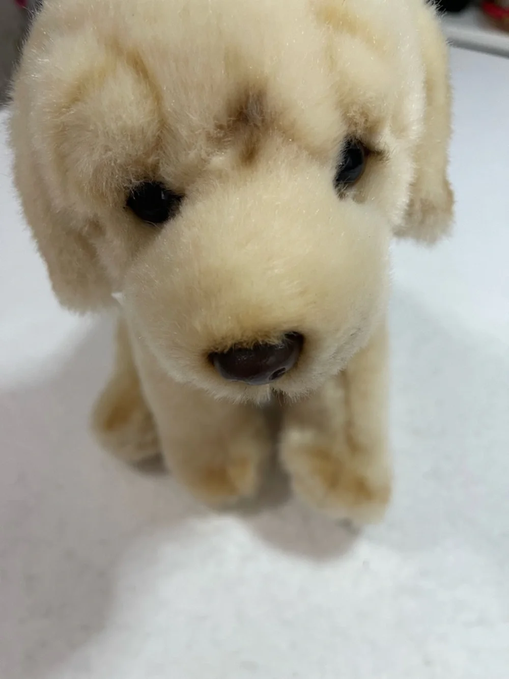 FAO SCHWARZ 10